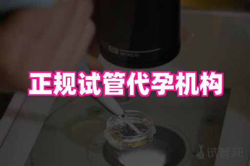 杭州助孕网站 2